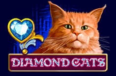 Diamond Cats